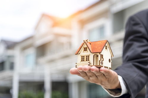 985学历“镀金”房产经纪人 理性评估与职业转型的深度思考